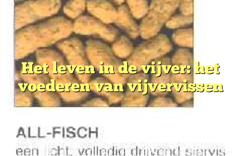 Het leven in de vijver: het voederen van vijvervissen