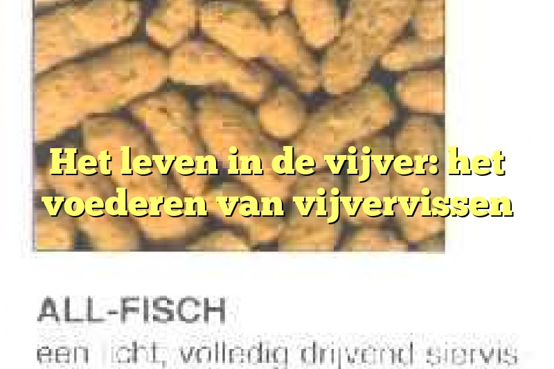 Het leven in de vijver: het voederen van vijvervissen