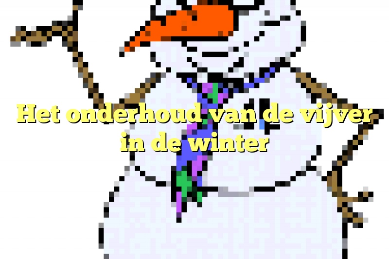 Het onderhoud van de vijver in de winter