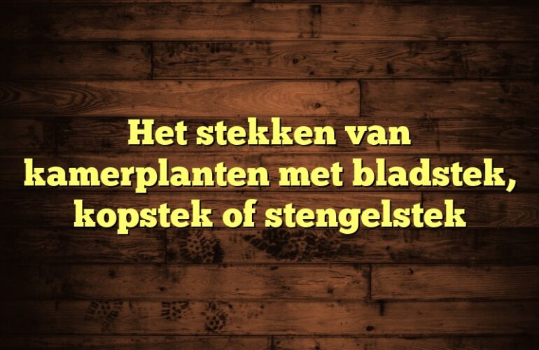 Het stekken van kamerplanten met bladstek, kopstek of stengelstek