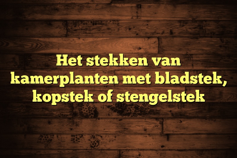 Het stekken van kamerplanten met bladstek, kopstek of stengelstek