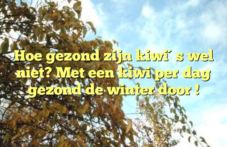 Hoe gezond zijn kiwi´s wel niet? Met een kiwi per dag gezond de winter door !