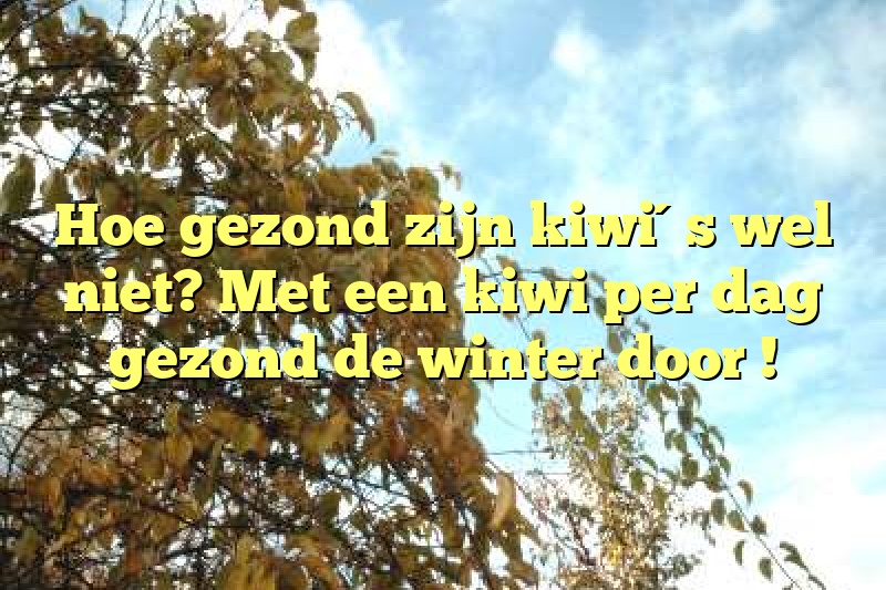 Hoe gezond zijn kiwi´s wel niet? Met een kiwi per dag gezond de winter door !