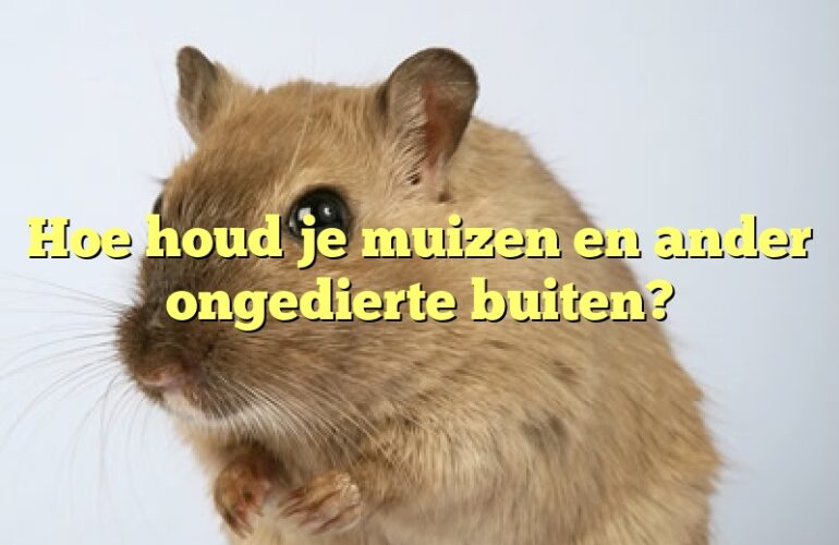 Hoe houd je muizen en ander ongedierte buiten?