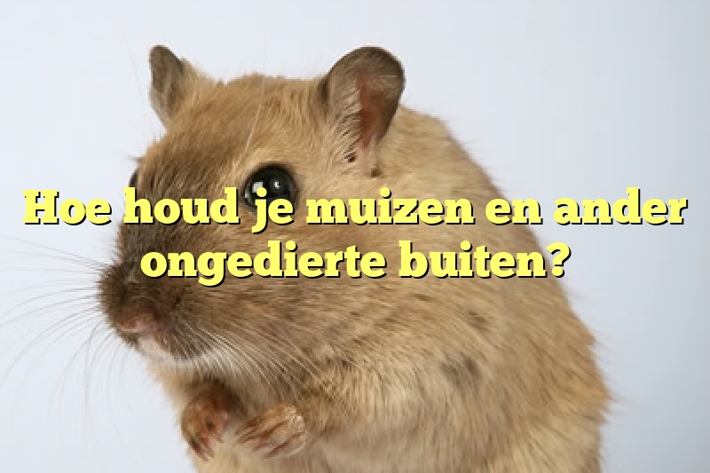 Hoe houd je muizen en ander ongedierte buiten?