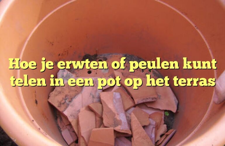 Hoe je erwten of peulen kunt telen in een pot op het terras