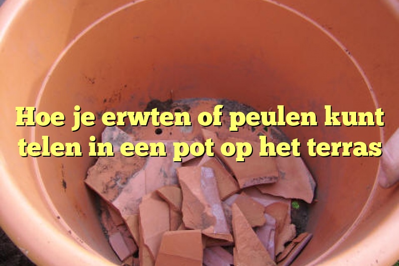 Hoe je erwten of peulen kunt telen in een pot op het terras