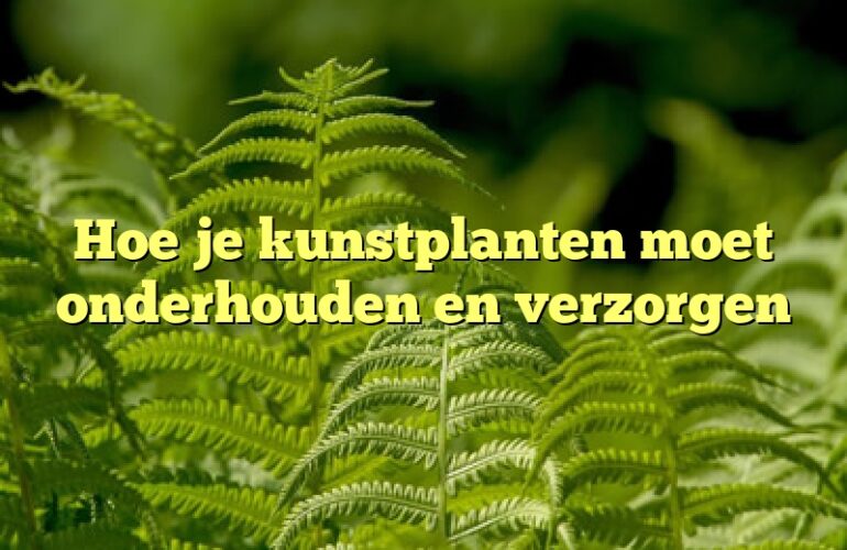 Hoe je kunstplanten moet onderhouden en verzorgen