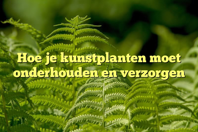 Hoe je kunstplanten moet onderhouden en verzorgen