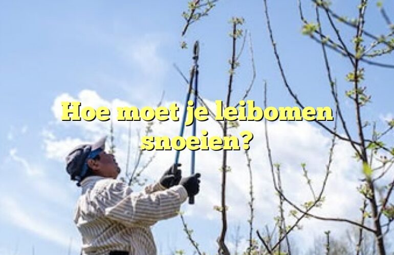 Hoe moet je leibomen snoeien?