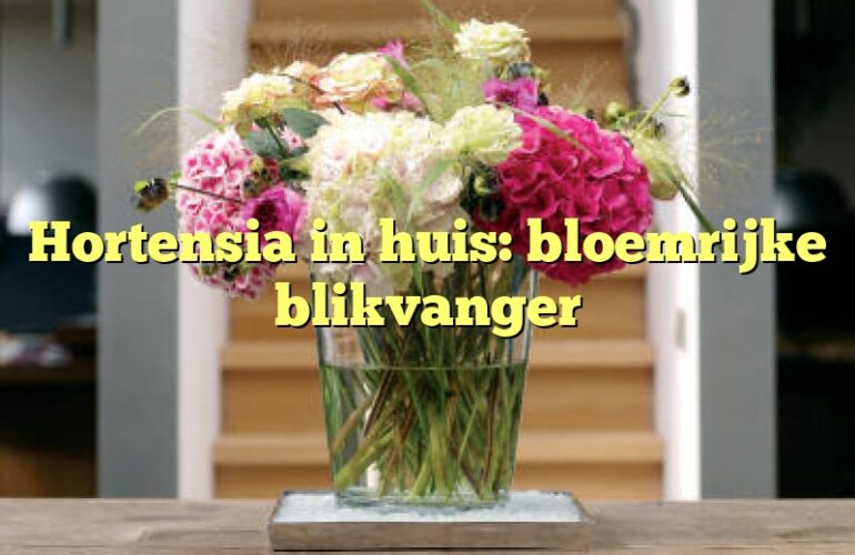 Hortensia in huis: bloemrijke blikvanger