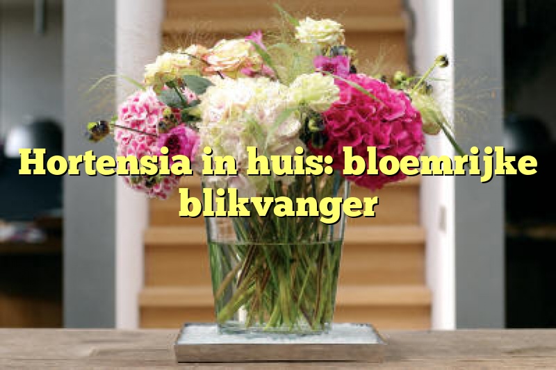 Hortensia in huis: bloemrijke blikvanger