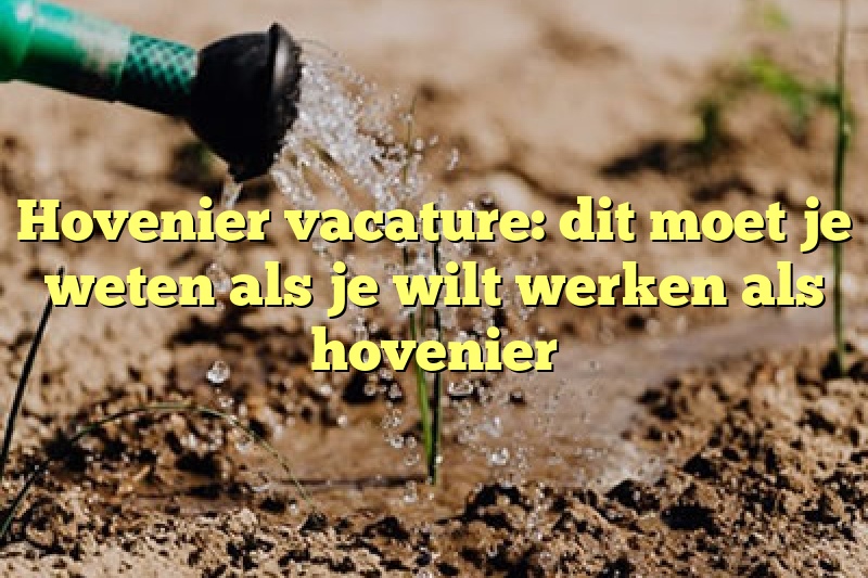 Hovenier vacature: dit moet je weten als je wilt werken als hovenier