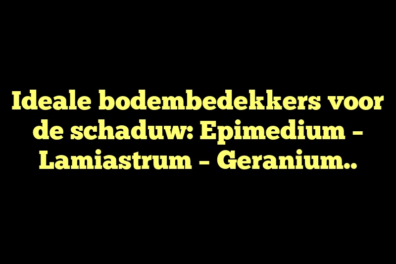 Ideale bodembedekkers voor de schaduw: Epimedium – Lamiastrum – Geranium..