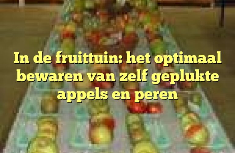 In de fruittuin: het optimaal bewaren van zelf geplukte appels en peren