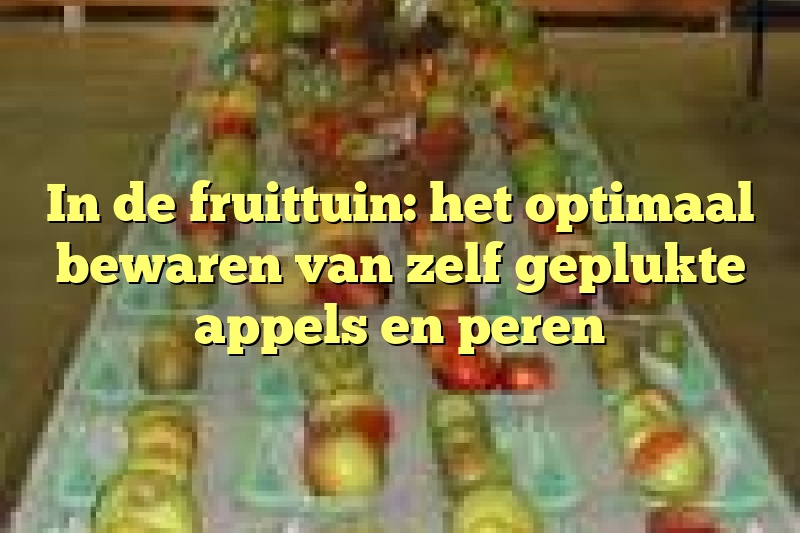 In de fruittuin: het optimaal bewaren van zelf geplukte appels en peren