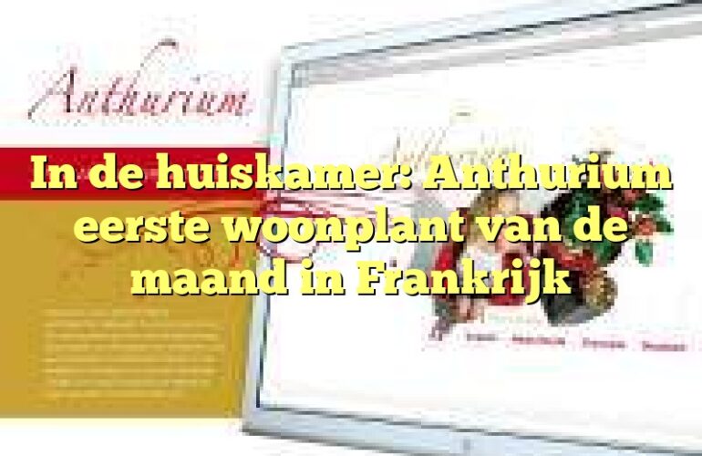 In de huiskamer: Anthurium eerste woonplant van de maand in Frankrijk