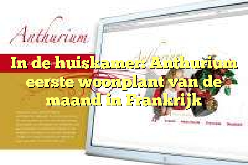 In de huiskamer: Anthurium eerste woonplant van de maand in Frankrijk