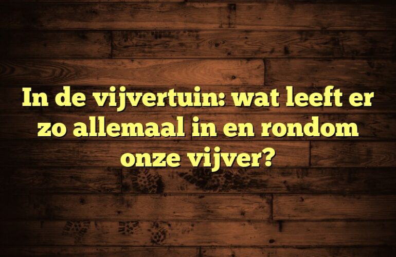 In de vijvertuin: wat leeft er zo allemaal in en rondom onze vijver?