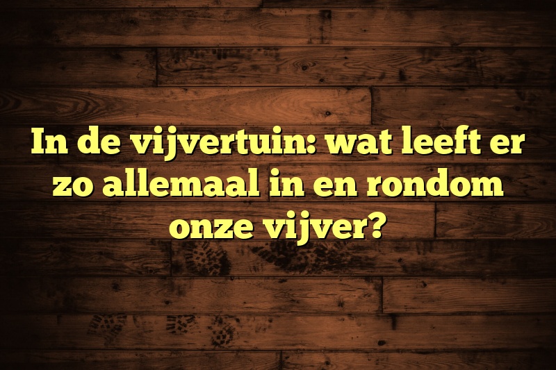 In de vijvertuin: wat leeft er zo allemaal in en rondom onze vijver?