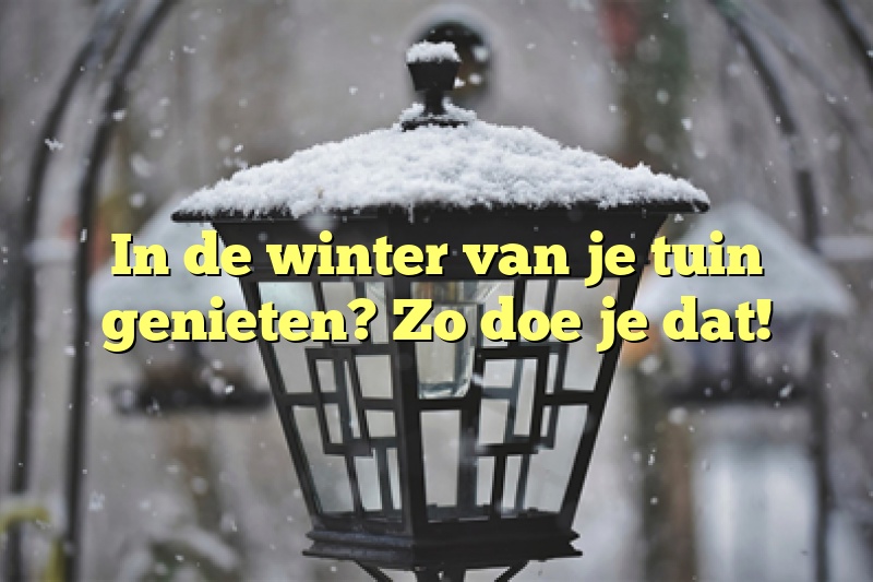 In de winter van je tuin genieten? Zo doe je dat!