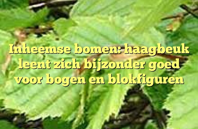 Inheemse bomen: haagbeuk leent zich bijzonder goed voor bogen en blokfiguren