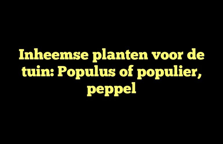 Inheemse planten voor de tuin: Populus of populier, peppel