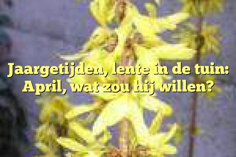 Jaargetijden, lente in de tuin: April, wat zou hij willen?