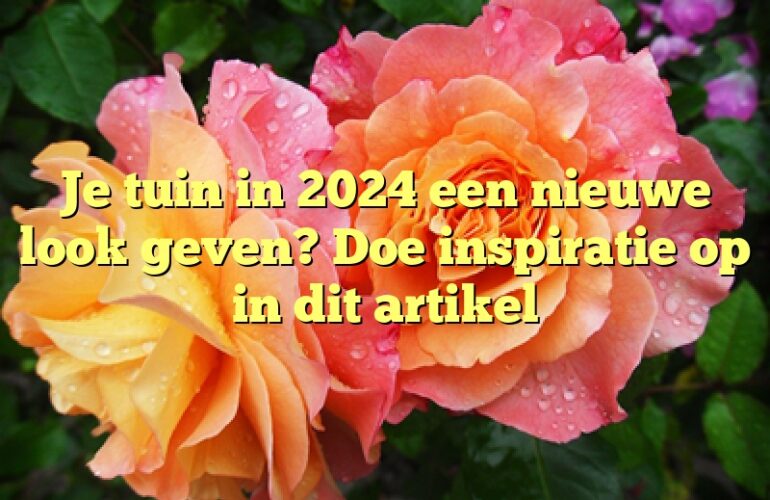 Je tuin in 2024 een nieuwe look geven? Doe inspiratie op in dit artikel