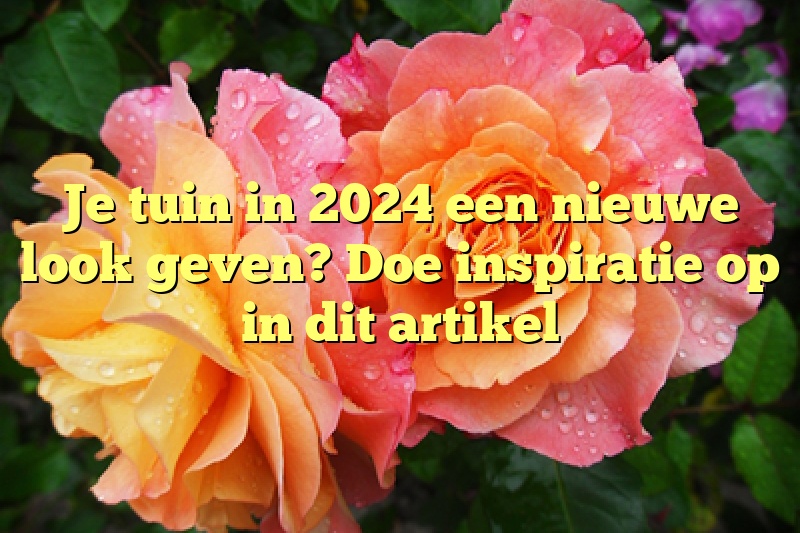 Je tuin in 2024 een nieuwe look geven? Doe inspiratie op in dit artikel