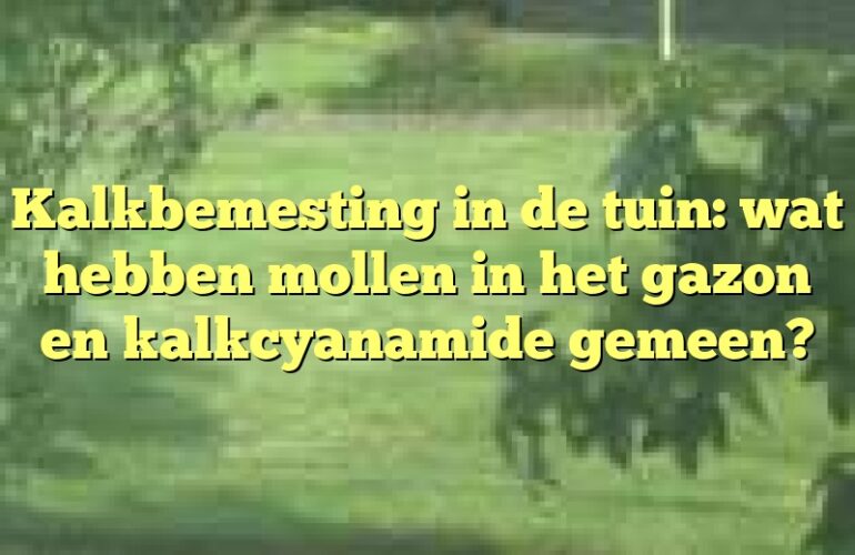 Kalkbemesting in de tuin: wat hebben mollen in het gazon en kalkcyanamide gemeen?