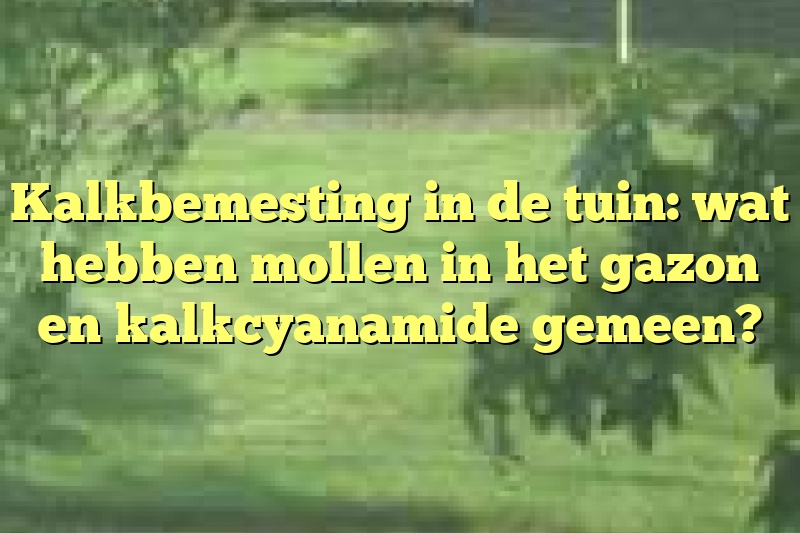 Kalkbemesting in de tuin: wat hebben mollen in het gazon en kalkcyanamide gemeen?