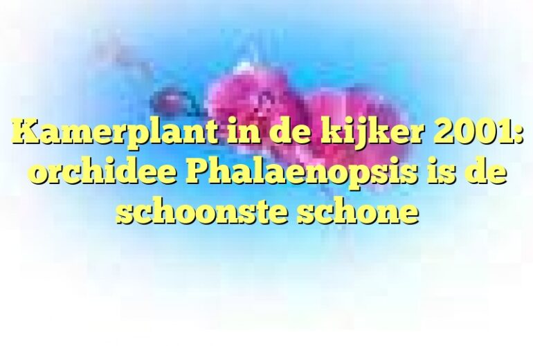 Kamerplant in de kijker 2001: orchidee Phalaenopsis is de schoonste schone