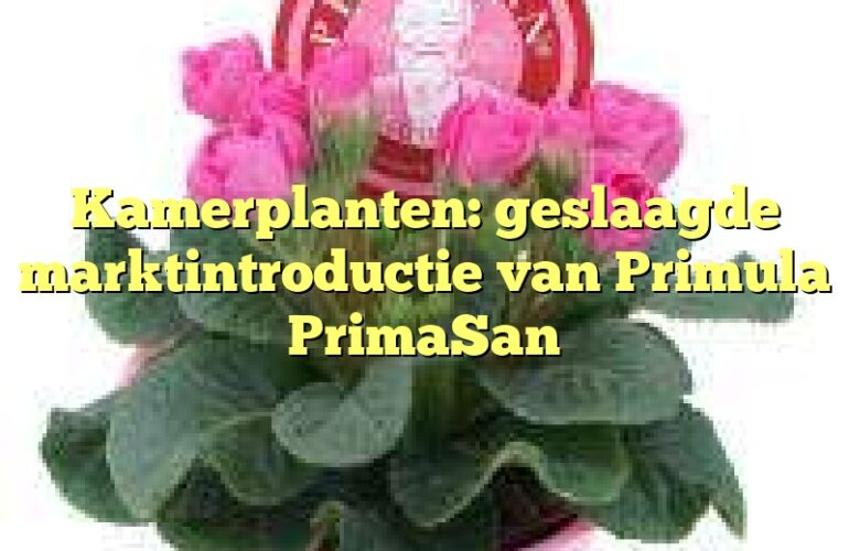 Kamerplanten: geslaagde marktintroductie van Primula PrimaSan