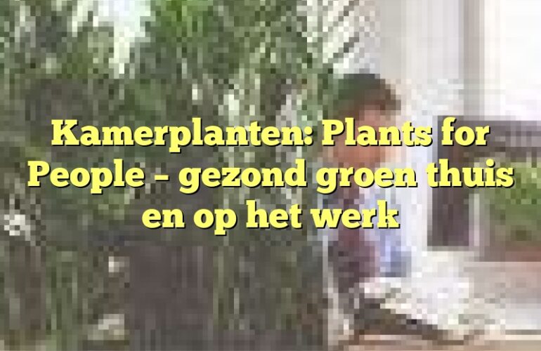 Kamerplanten: Plants for People – gezond groen thuis en op het werk