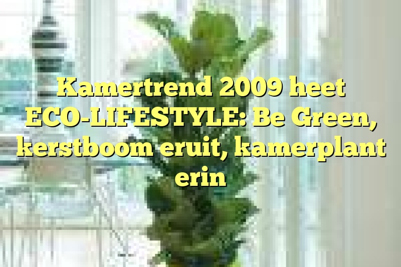 Kamertrend 2009 heet ECO-LIFESTYLE: Be Green, kerstboom eruit, kamerplant erin