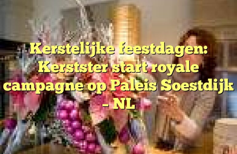 Kerstelijke feestdagen: Kerstster start royale campagne op Paleis Soestdijk – NL