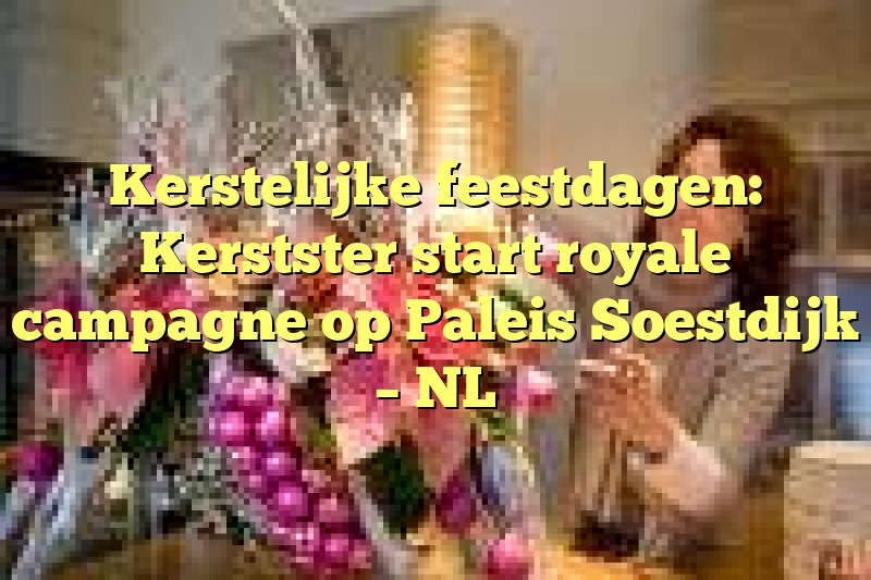 Kerstelijke feestdagen: Kerstster start royale campagne op Paleis Soestdijk – NL