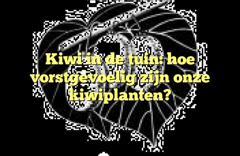 Kiwi in de tuin: hoe vorstgevoelig zijn onze kiwiplanten?