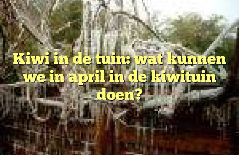 Kiwi in de tuin: wat kunnen we in april in de kiwituin doen?