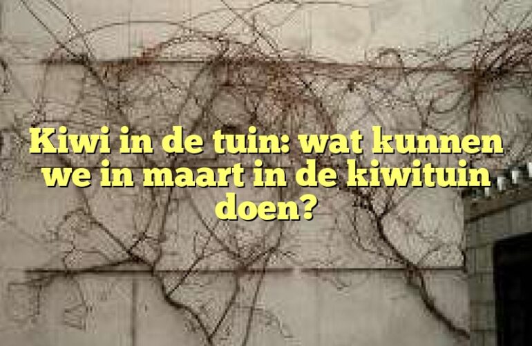 Kiwi in de tuin: wat kunnen we in maart in de kiwituin doen?