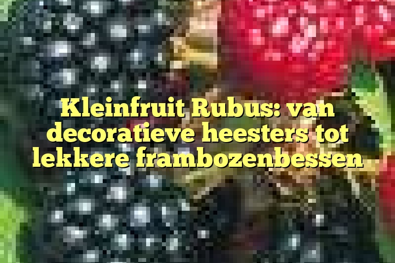 Kleinfruit Rubus: van decoratieve heesters tot lekkere frambozenbessen