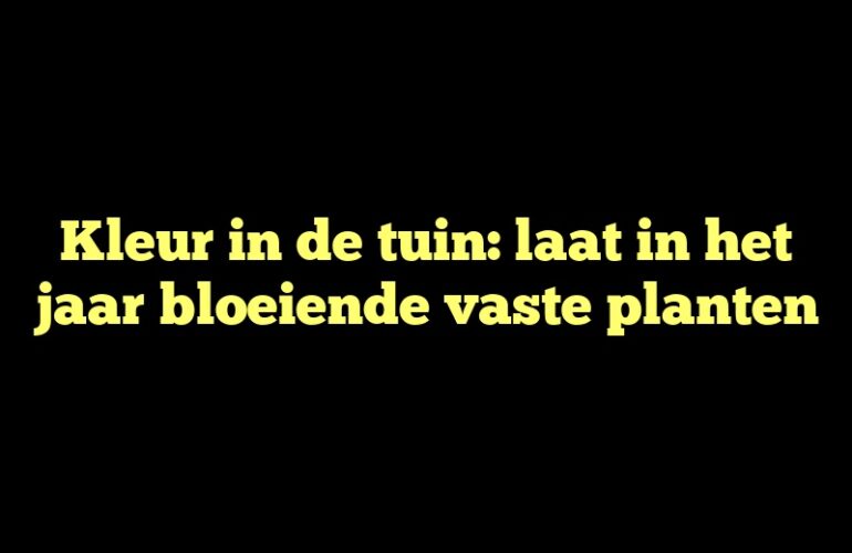 Kleur in de tuin: laat in het jaar bloeiende vaste planten