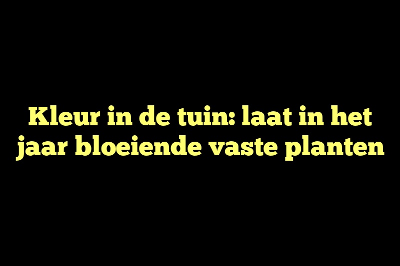 Kleur in de tuin: laat in het jaar bloeiende vaste planten