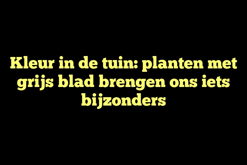 Kleur in de tuin: planten met grijs blad brengen ons iets bijzonders