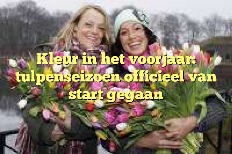 Kleur in het voorjaar: tulpenseizoen officieel van start gegaan