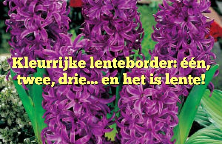 Kleurrijke lenteborder: één, twee, drie… en het is lente!