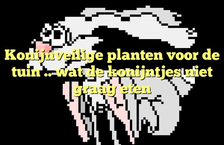 Konijnveilige planten voor de tuin .. wat de konijntjes niet graag eten