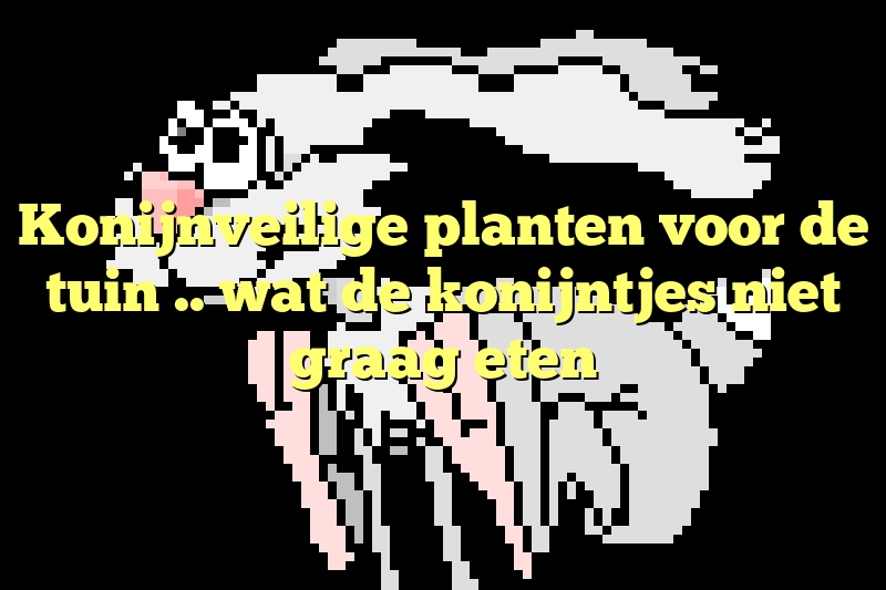 Konijnveilige planten voor de tuin .. wat de konijntjes niet graag eten