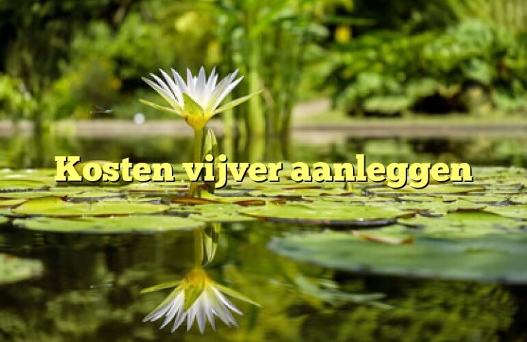 Kosten vijver aanleggen